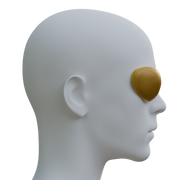 Bulletproof Goggles 3D Printable Model