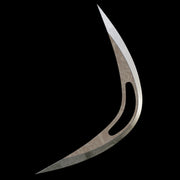 Boomerang Spider-man Brand New Day 3D Model