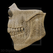 Death Goddess Mask 3D Model