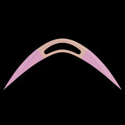 Boomerang Spider-man Brand New Day 3D Model