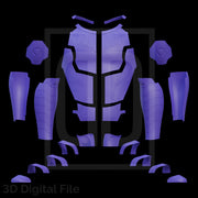 Thieve Card MagicianArmor and Boots 3D Model