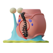 Gary the Transponder Snail 3D File