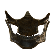 VEK3D Higgs Skull Mask