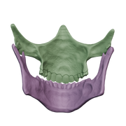 VEK3D Higgs Skull Mask