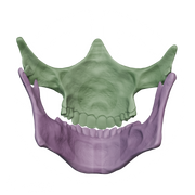 Higgs Skull Mask File