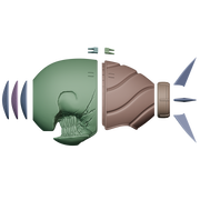 VEK3D Bomb Devil Helmet (Chainsaw man) File