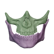 Higgs Skull Mask File