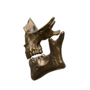 VEK3D Higgs Skull Mask