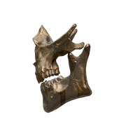 Higgs Skull Mask File