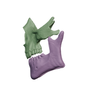 VEK3D Higgs Skull Mask