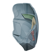 Arcann Mask File