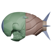 Bomb Devil Helmet File